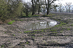Kleingewässer sollten entweder Anschluss an das Grundwasser haben oder durch staudende Schichten abgedichtet werden.