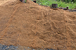 Erosionsschutz durch verrottbare Materialien, im Bild ein Kokosfasernetz, stabilisieren Hänge und Böschungen, bis sich eine geschlossene Vegetation entwickelt hat.