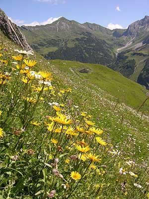 Obere Alpschellaalpe