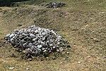 Landschaftselemente frdern die Artenvielfalt.