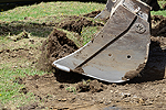 In sensiblen Lebensrumen ist die bestmgliche Wiederverwendung der vorhandenen Vegetation wichtig.