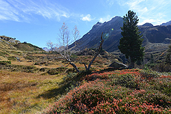 Silvretta_01_04