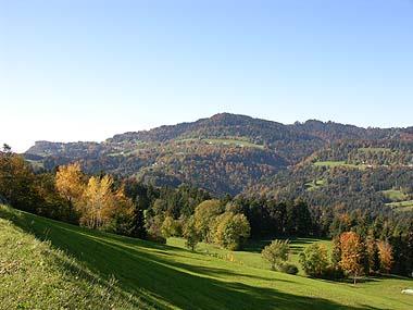 Blick von Buch Richtung Rickenbachtobel